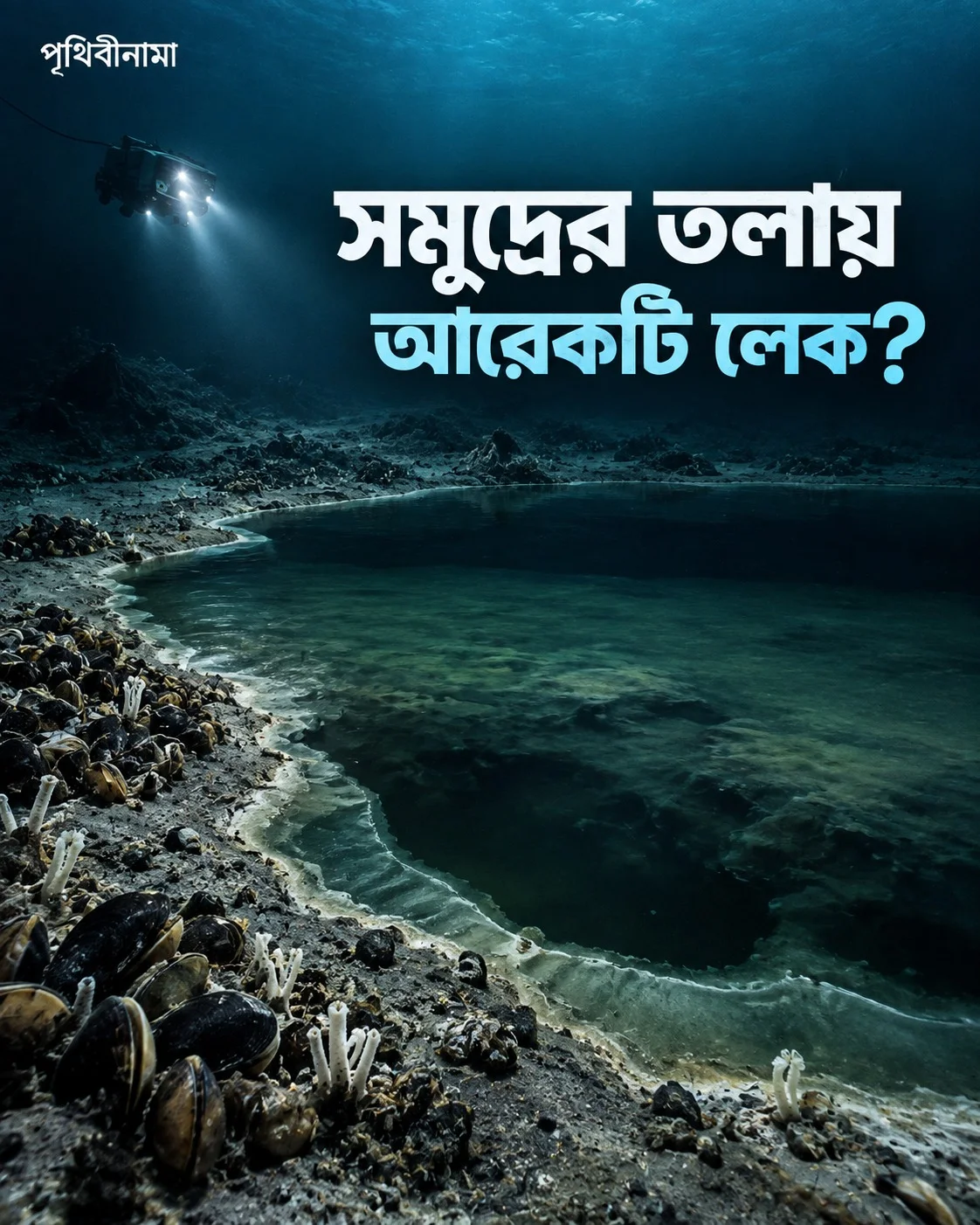 সমুদ্রের তলায় আবার লেক? এই অদ্ভুত জলাশয় তৈরি হয় কীভাবে? — নিবন্ধের চিত্র