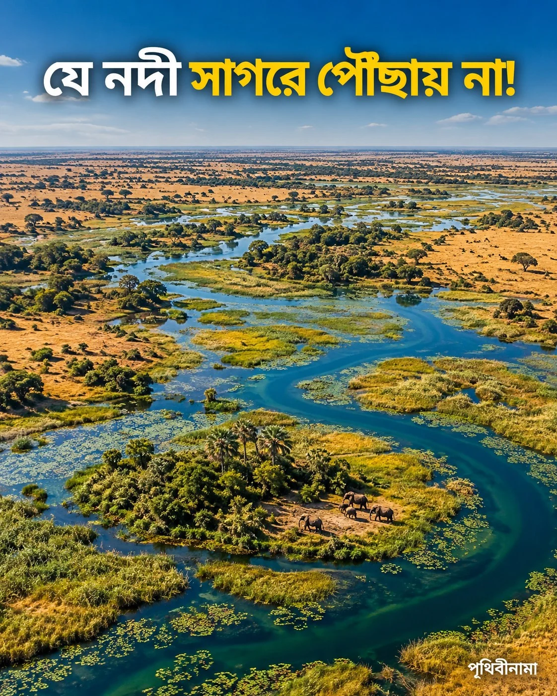 যে নদী সাগরে পৌঁছায় না, শুষ্ক মৌসুমে জাগিয়ে তোলে জলাভূমি! — নিবন্ধের চিত্র
